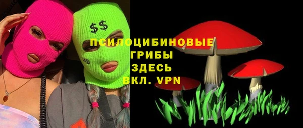 прущая мука Надым