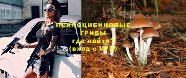спиды Михайлов