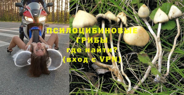 мдма Михайловск