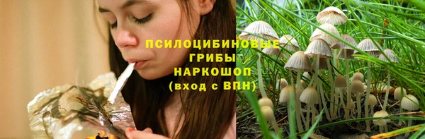 спиды Михайлов