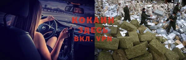 спиды Михайлов
