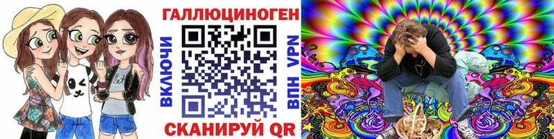 Купить  Бобров  Псилоцибиновые грибы Psilocybe 